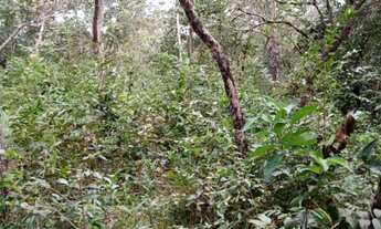 Imagem 3: Terreno 65.000m², as margens do Rio das Velhas, Jaboticatubas