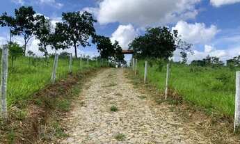 Imagem 4: Fazendinha 20 ha, casa, área de lazer completa com piscina, sauna, campo, quadra,nascente