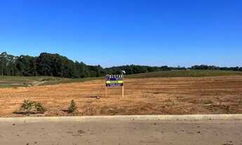 Imagem: Terreno Linha Palmeiro Farroupilha