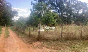 Imagem 7: Excelente sítio à venda, 13.560m² por R$ 1.500.000 - Zona Rural - Uberlândia/Prata-MG