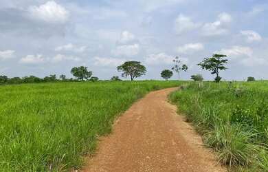 Imagem 3: Sítio em Nossa Senhora do Livramento à venda