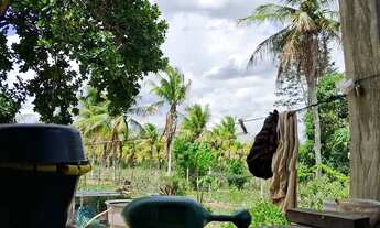 Imagem 2: Venda de sítio em acajuitiba ba]- excelente oportunidade!