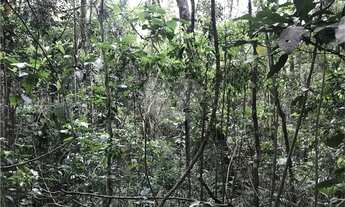 Imagem 6: Terreno à venda em Roseira - SP