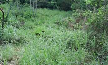 Imagem 3: Compro casa ou apartamento a base de permuta