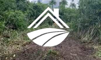 Imagem 3: Fazenda para Venda em São Luís, MATOPIBA