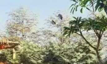 Imagem 4: Imóvel para venda com 616 metros quadrados em Jardins Itália - Goiânia - GO