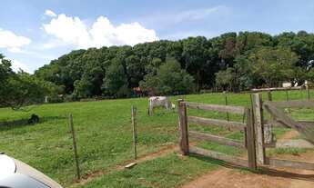 Imagem 6: Fazenda dupla aptidão com 243 hectares na região da terra vermelha 4 km do distr