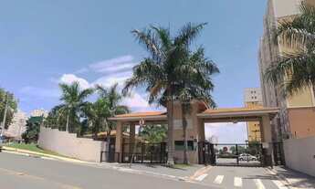 Imagem: Apartamento - São Bernardo - Campinas