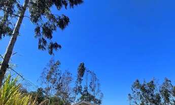 Imagem 4: Chácara em São José dos Pinhais