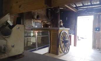 Imagem 2: Terreno com 450 metros, casa de 4 cômodos, pomar com pé de jaca, acerola, manga, etc