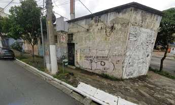 Imagem 2: Galpão para alugar, 250 m² por R$ 13.550,00/mês - Mooca - São Paulo/SP