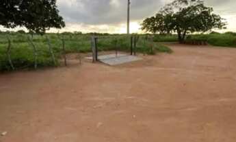 Imagem 4: Fazenda em São João do Jaguaribe