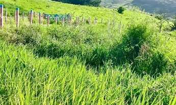 Imagem 2: Imóvel para venda possui 26000 metros quadrados em Zona Rural - Pilar - AL