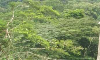 Imagem 2: Fazenda em Floresta Azul , 10 hectares