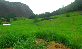 Imagem: Sitio 21 hectares município de nova venecia