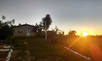 Imagem 7: Sítio 5.000m2 com casa nova, muitos frutos e linda vista em Piedade dos Gerais/MG