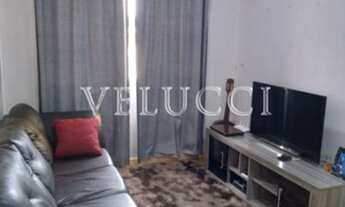 Imagem 3: Apartamento - Jardim Capivari - Campinas