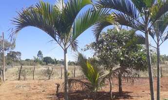 Imagem: Chácara 5 mil metros quadrados setor Monte
