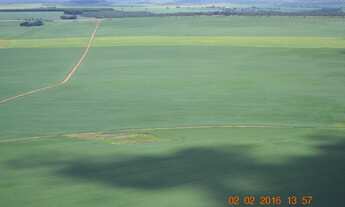 Imagem 4: Fazenda Município Cristalina - GO