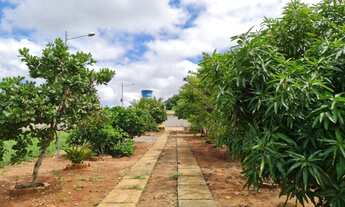 Imagem 7: Chácara para Venda em Lagoa da Canoa, Sítio Alexandre, 1 dormitório, 2 banheiros