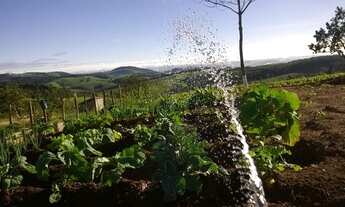 Imagem 3: Sítio 5.000m2 com casa nova, muitos frutos e linda vista em Piedade dos Gerais/MG