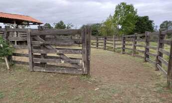 Imagem 7: Fazenda 135 hectares proximo de cuiaba