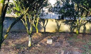 Imagem 4: Lote em cocal do sul