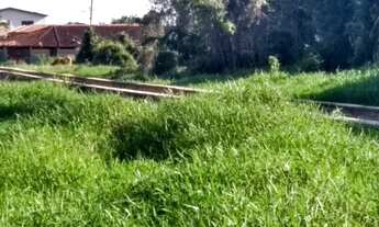 Imagem 6: TERRENO EM MONGAGUÁ