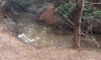 Imagem 3: Vendo um terreno lagoa dos freitas