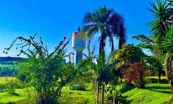 Imagem 3: Fazenda 14 alqueires em Aragoiânia, GO