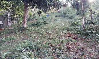 Imagem 5: Lote Residencial, vendo urgente. Ramal do Brasileirinho