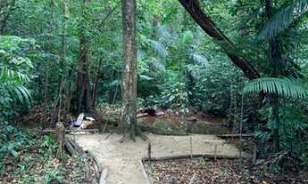 Imagem 4: Lindo terreno em Benfica