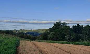 Imagem 3: Lote/Terreno para venda possui 1000 metros quadrados em Centro - Cotia - SP
