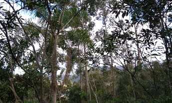 Imagem 1: Lotes / terrenos