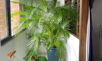 Imagem 3: Apartamento, Itapuã, 2/4, suítes, varanda, sala, copa cozinha, armários, área de serviço