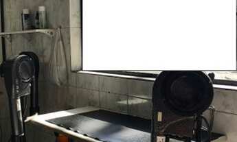 Imagem 5: Petshop / banho e tosa na Mooca pronto para trabalhar!