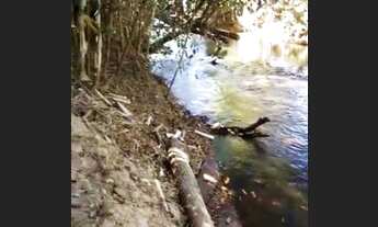 Imagem 5: Chacara em pirinopolis