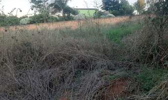 Imagem 4: VENDO LOTE GARÇAS