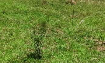 Imagem 5: Lote/Terreno para venda tem 600 metros quadrados em Centro - Igaratá - SP