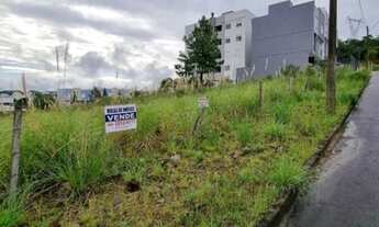 Imagem: CAXIAS DO SUL - Terreno Padrão - SÃO LUIZ