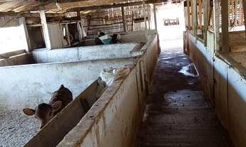 Imagem 6: Vendo sítio Chácara com venda por R$450.000