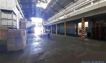 Imagem 7: GALPÃO - MOOCA - SP