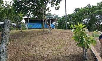 Imagem 2: Sítio em Barcelos-AM