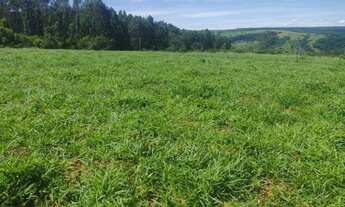 Imagem: Chácara na região de planalmira-go!