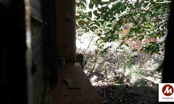 Imagem 6: Casa (térrea na rua) 3 dormitórios, cozinha planejada