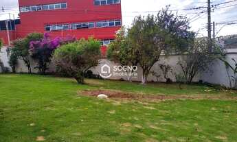 Imagem 5: Alugue sem fiador - Excelente casa no Palmeiras