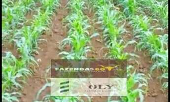 Imagem 3: Chácara de oportunidade - em Abadia de Goiás ! 5 Mil metros !