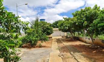 Imagem 6: Chácara para Venda em Lagoa da Canoa, Sítio Alexandre, 1 dormitório, 2 banheiros