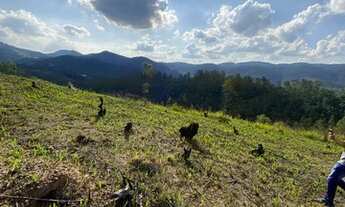 Imagem: Tk Pensa num lote Bonito! Facilitamos tudo