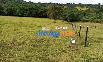 Imagem 4: Fazenda para lavoura a venda com 17 alqueires na região do Rio Quente - GO